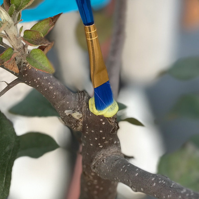 Bonsai stump wound healing agent