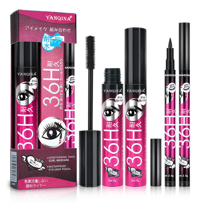 Eyeliner & Mascara Duo Makeup Set – Waterproof Long-Lasting