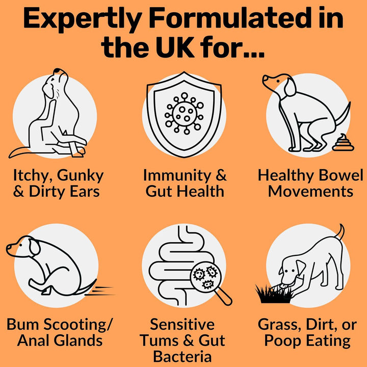 Dog Prebiotics Digestive Snacks Intestinal Health Pet Health Care Products